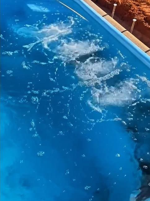 Piscina de Fibra - Imagem 1